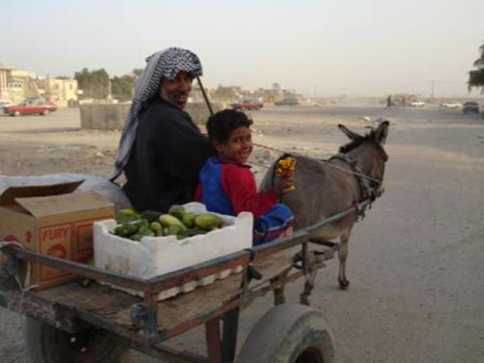 الأمم المتحدة: نقص التغذية المزمن يصيب واحدا من بين أربعة أطفال عراقيين (الجزيرة)