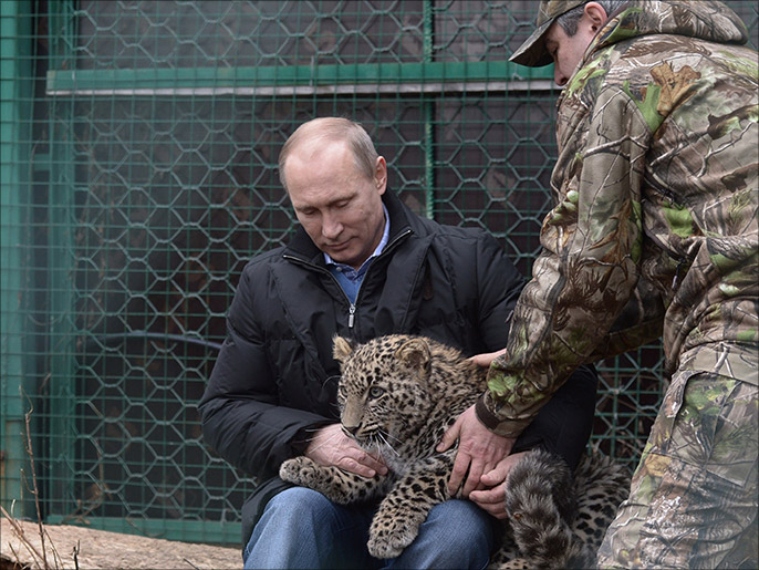 ‪بوتين أثناء جولة في حديقة حيوانات بسوتشي‬ (الفرنسية)