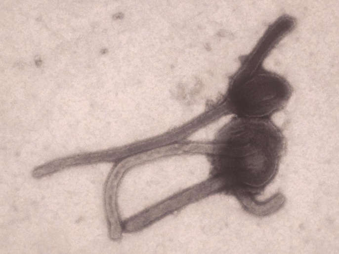 ‪فيروس إيبولا يؤدي لحمى نزفية‬  (أسوشيتد برس)