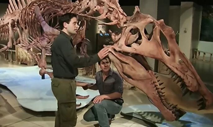اكتشاف هيكل ديناصور على الحدود الجزائرية المغربية
