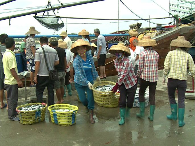 صيادون يتقلون أسماكهم إلى السوق في مدينة تيان مين الجنوبية