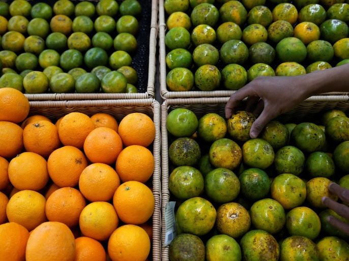 An employee puts an orange on a fruit rack at a Foodmart Fresh supermarket in Jakarta, Indonesia June 8, 2016. REUTERS/Beawiharta