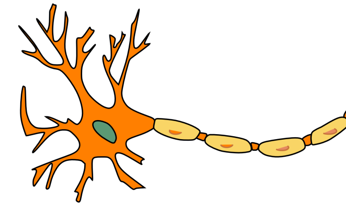 خلايا عصبية، تشابك عصبي، دماغ،، أعصاب، المصدر: بيكسابي