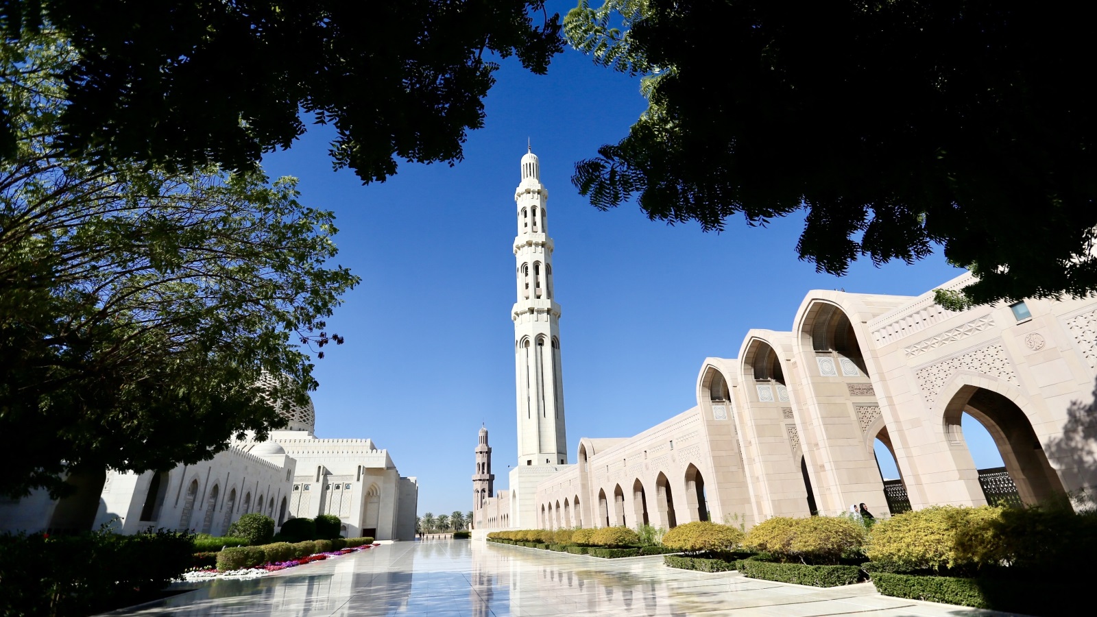 ‪جامع السلطان قابوس في مسقط‬ (الأناضول)