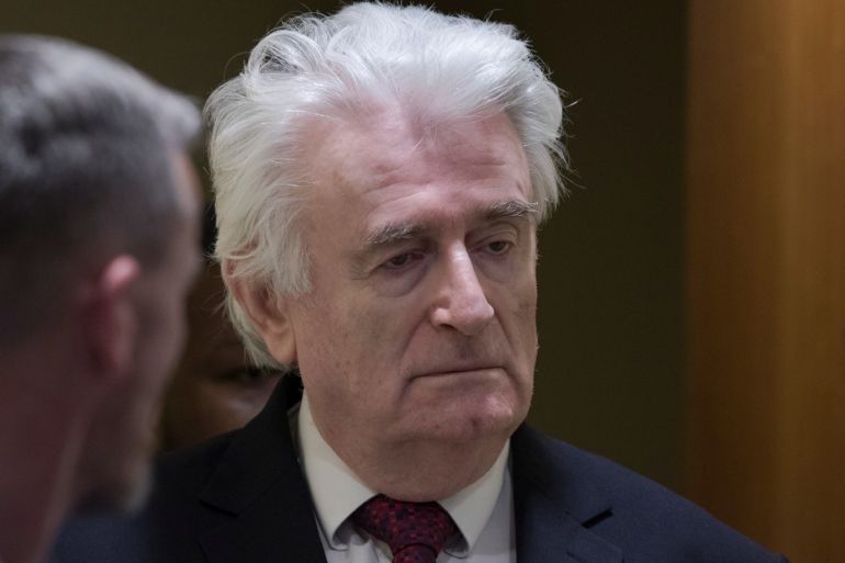 Former Bosnian Serb leader Radovan Karadzic appears before the Appeals Chamber of the International Residual Mechanism for Criminal Tribunals (