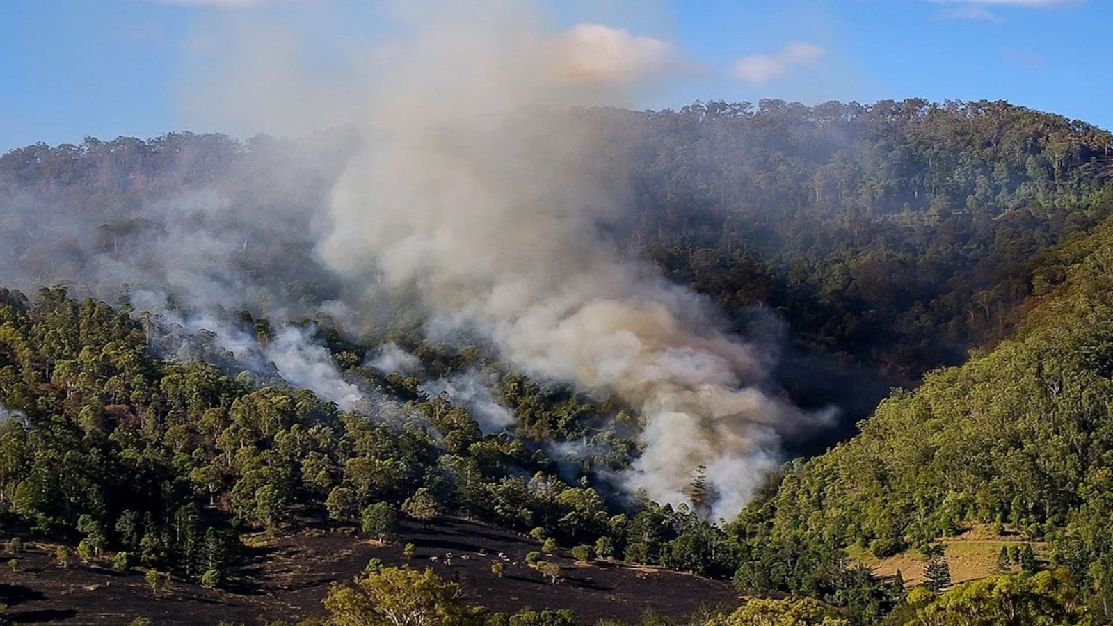 ‪خرجت حرائق الغابات في أستراليا عن السيطرة ودمرت ملايين الفدانات (بيكسابي)‬ خرجت حرائق الغابات في أستراليا عن السيطرة ودمرت ملايين الفدانات (بيكسابي)